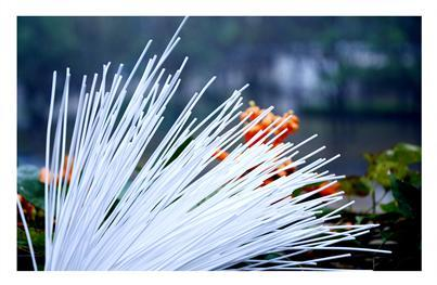 welcometo接待光临888集团(中国)有限公司